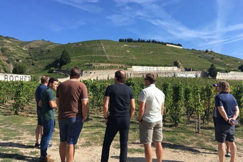 Northern Rhône Valley Day Tour with Wine Tasting from Lyon