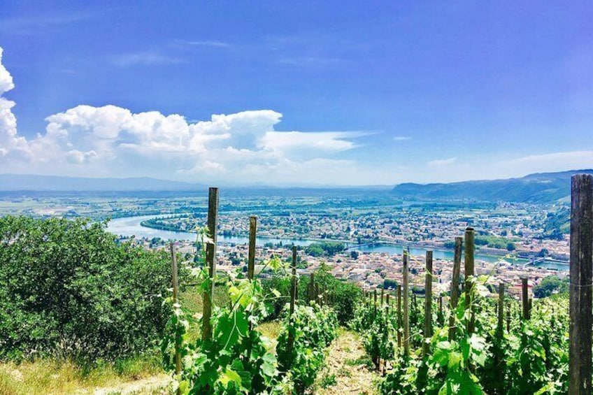 Norther Rhône vineyards