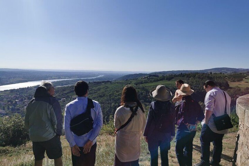 Northern Rhône Valley Wine Half Day Tour from Lyon