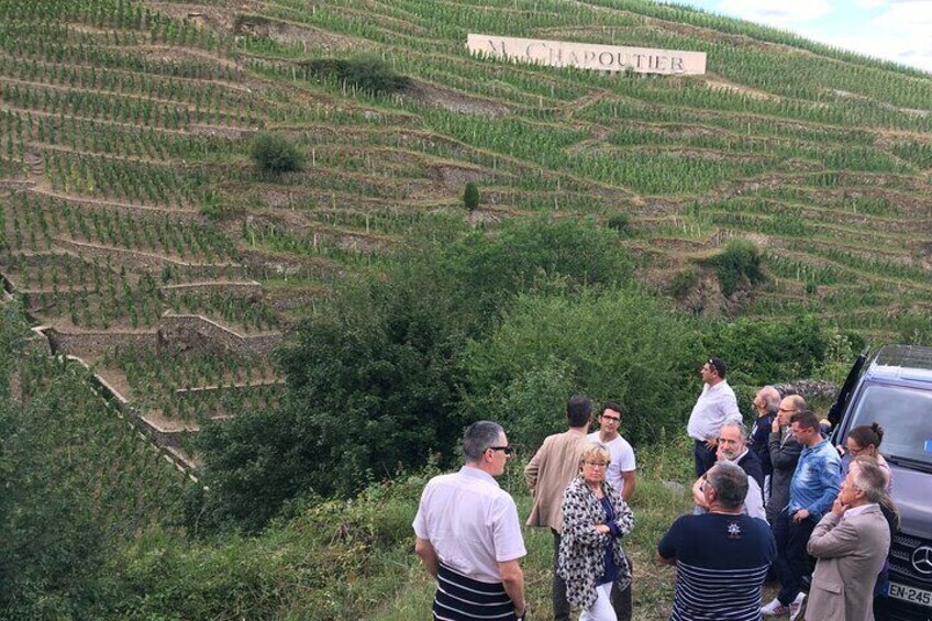 Northern Rhône Valley Wine Half Day Tour from Lyon