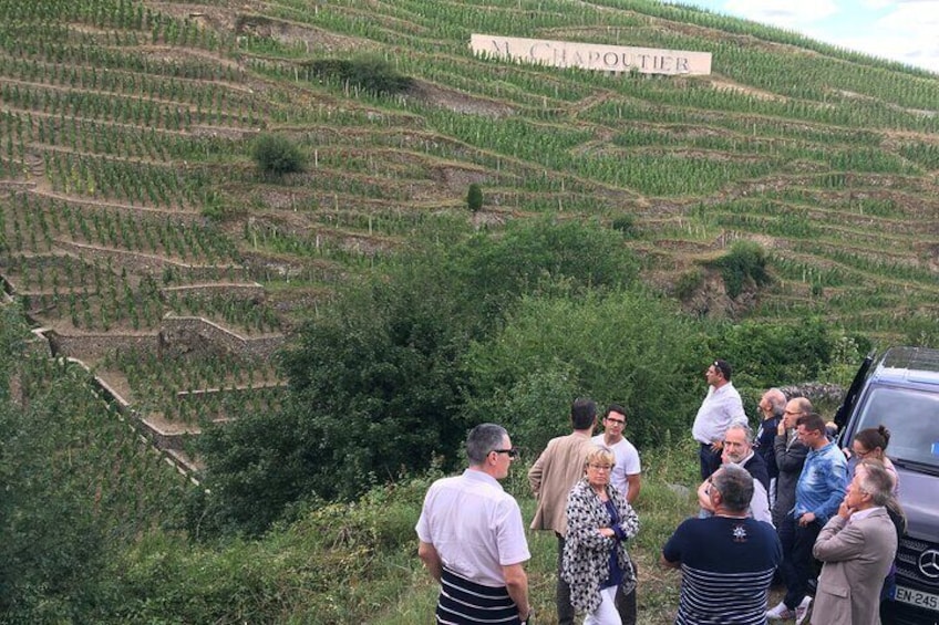 Northern Rhône Valley Wine Half Day Tour from Lyon