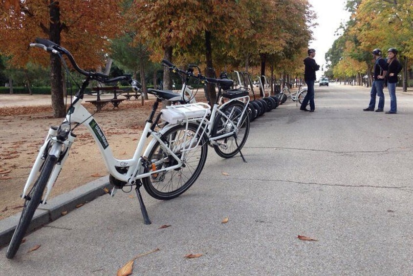 Retiro Park bike tour- Get transported to the XVI century