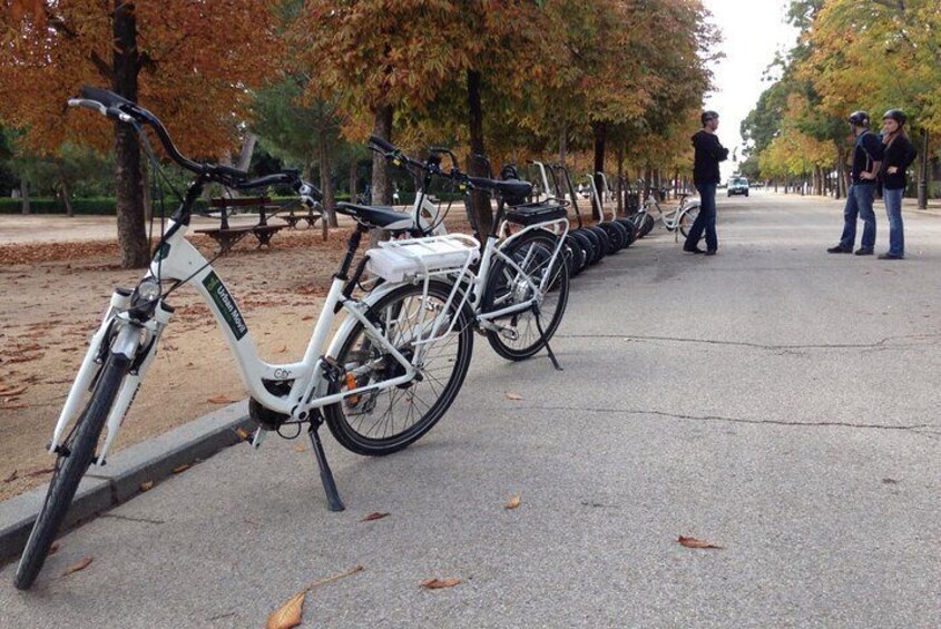 Retiro Park bike tour- Get transported to the XVI century