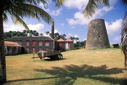 St Nicholas Abbey Tour in Barbados