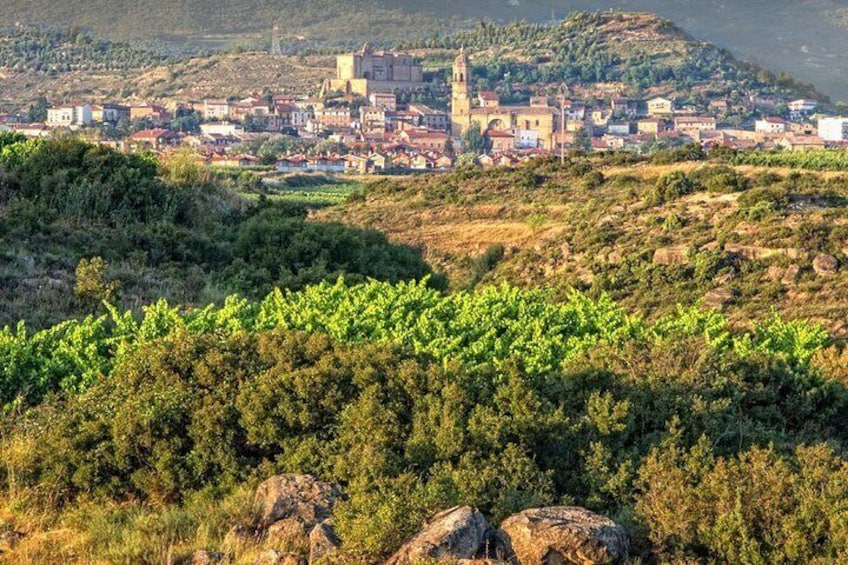 Rioja Private Tour: Medieval Villages, Outdoor Activities, Wine Tasting & Lunch 