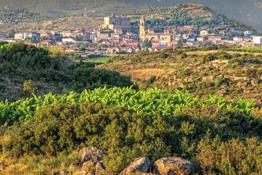 Rioja Private Tour: Medieval Villages, Outdoor Activities, Wine Tasting & Lunch