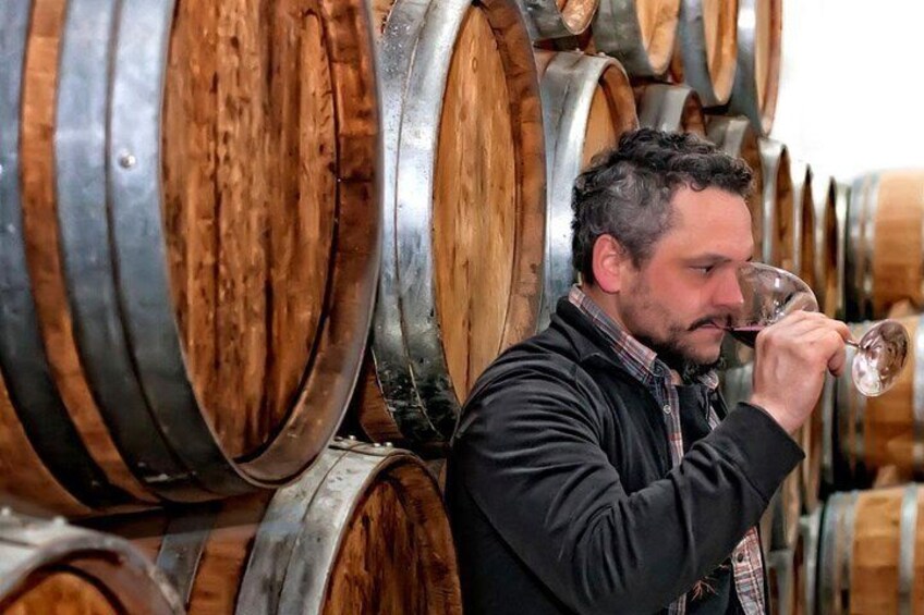 Rioja Private Tour: Medieval Villages, Outdoor Activities, Wine Tasting & Lunch