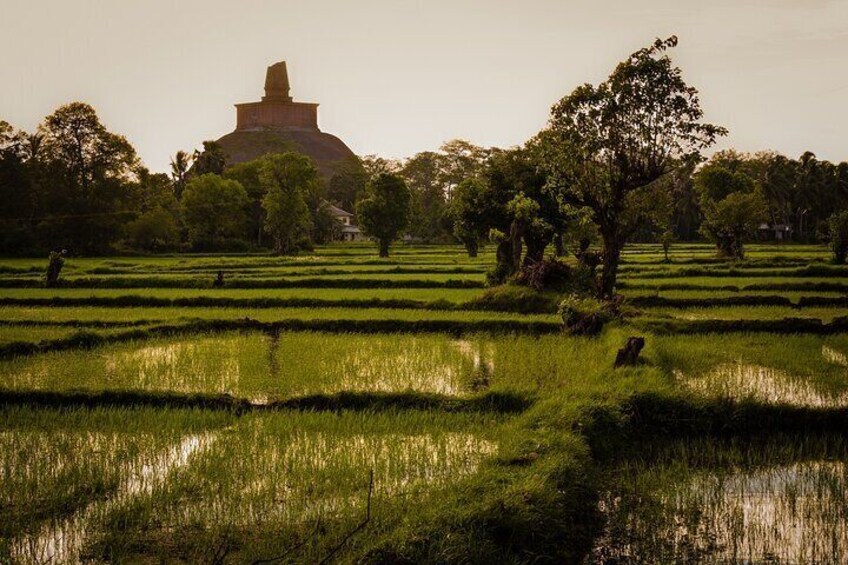 Day Excursions to UNESCO City ANURADHAPURA from Negombo