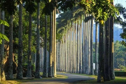 Private Kandy Day Tour From Negombo