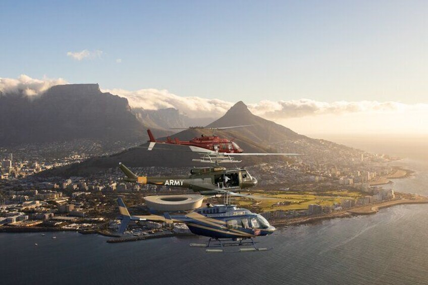 Camps Bay and Hout Bay Helicopter Tour from Cape Town