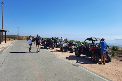 Half day Buggy Safari with Driver Lara Bay and Adonis Falls