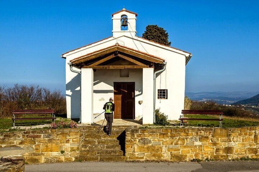 Wine & Bike Half Day Tour In The Vineyards Of Istria