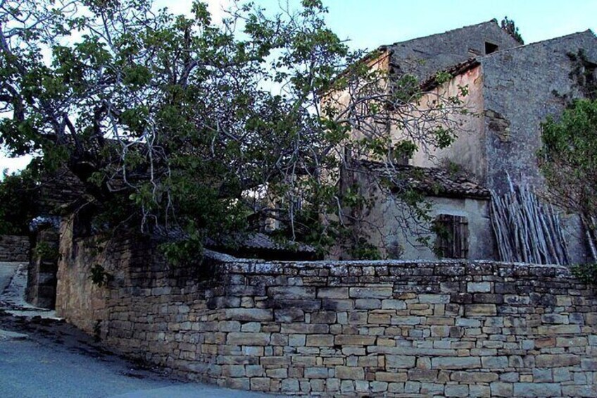 Wine & Bike Half Day Tour In The Vineyards Of Istria