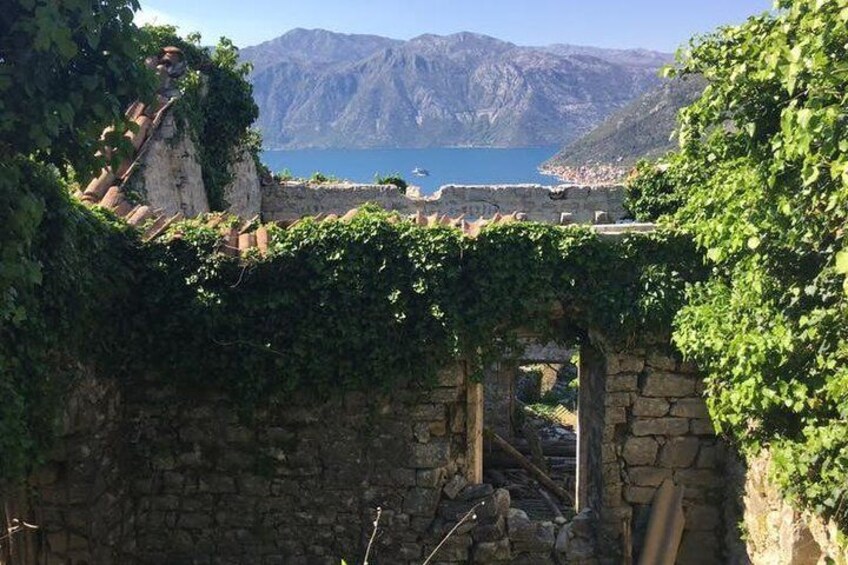 Cycling and hiking short tour through the bay of Kotor