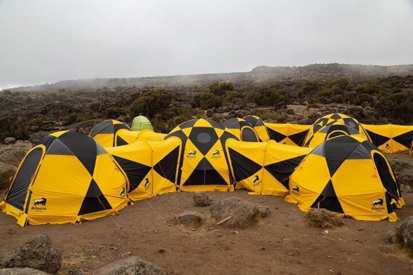 Altezza Tents