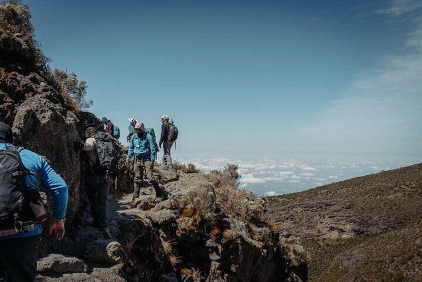 Kilimanjaro climb, Lemosho Route (6-day)