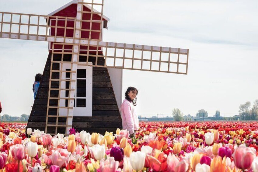 Keukenhof Gardens & Tulip Experience Guided Tour from Amsterdam