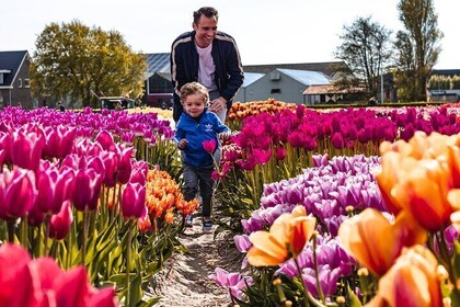 Visite guidée des jardins de Keukenhof et découverte de la Tulip Experience...