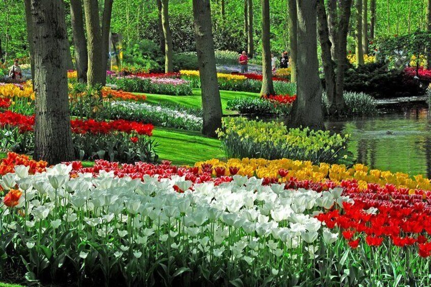 Keukenhof Gardens and Flower Fields Half Day Guided Tour