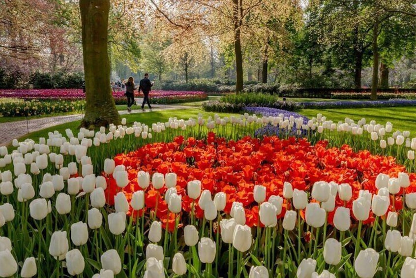 Keukenhof Gardens and Zaanse Schans Windmills Guided Day Tour from Amsterdam