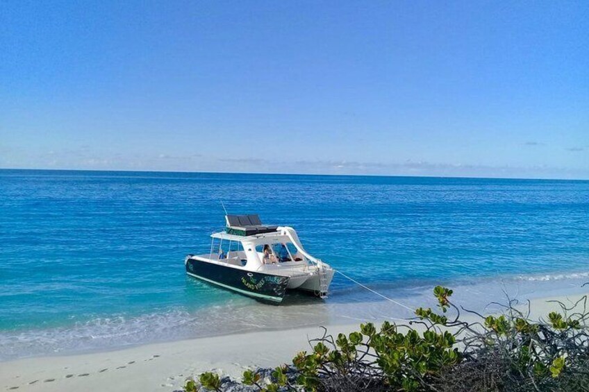 Private 4 Hour Power Catamaran Excursion in Grace Bay