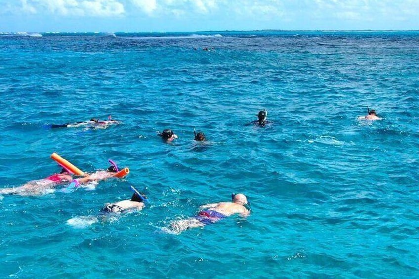 4hour Group Half Day Snorkeling Excursion in Grace Bay