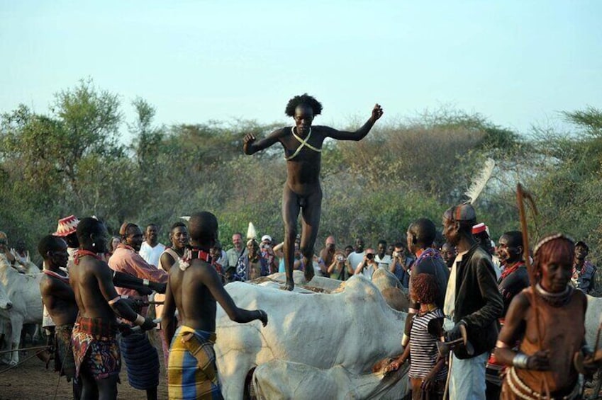 Ukuli Bulla (bull jumping ceremony Hamer and bana tribes