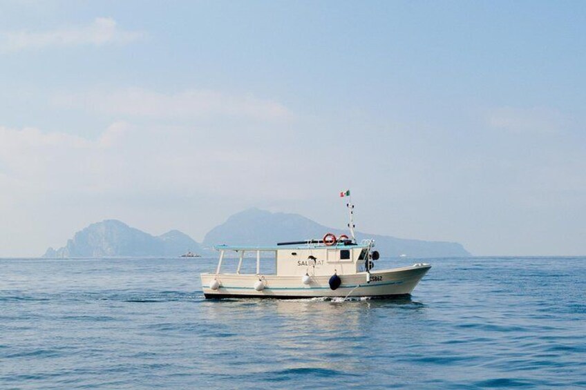 Salboat fishing vessel