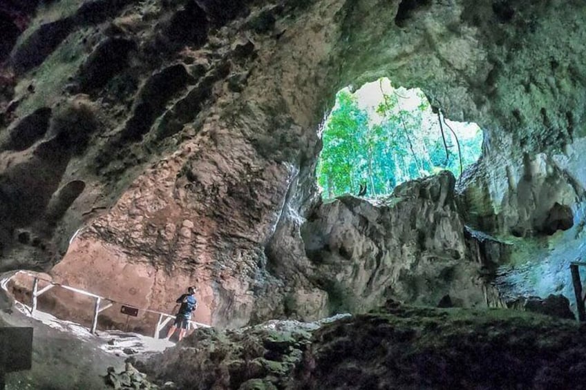 Cayo Levantado (Bacardi Island) & Los Haitises National Park , Expert Guide