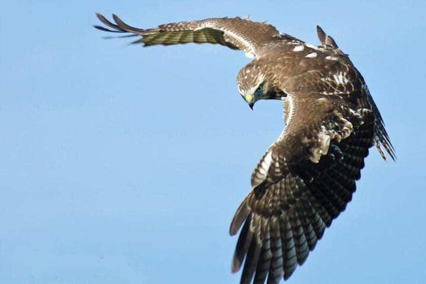 Cayo Levantado (Bacardi Island) & Los Haitises National Park , Expert Guide