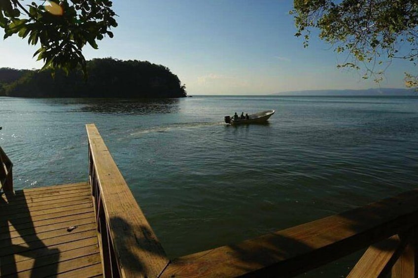 Cayo Levantado (Bacardi Island) & Los Haitises National Park , Expert Guide