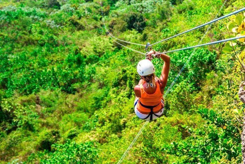 Zip Line