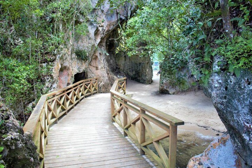 Private 2 Caves in Los Haitises with Locals Expert Tour Guides ( Caño Hondo)