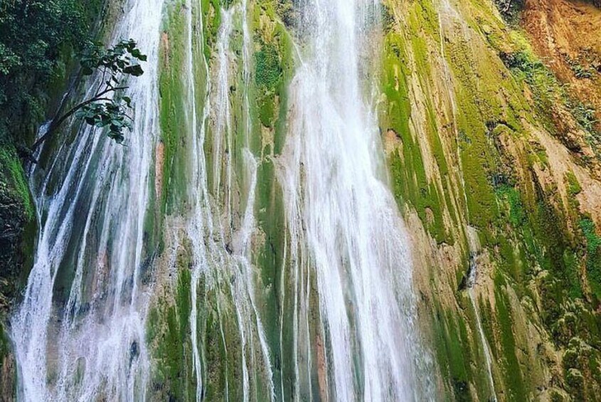 El Limón waterfalls Tour (horse riding & swimming) with lunch