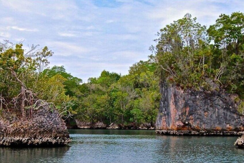 Los Haitises National Park Boat trip + Hiking 2 Hours in The Rain Forest