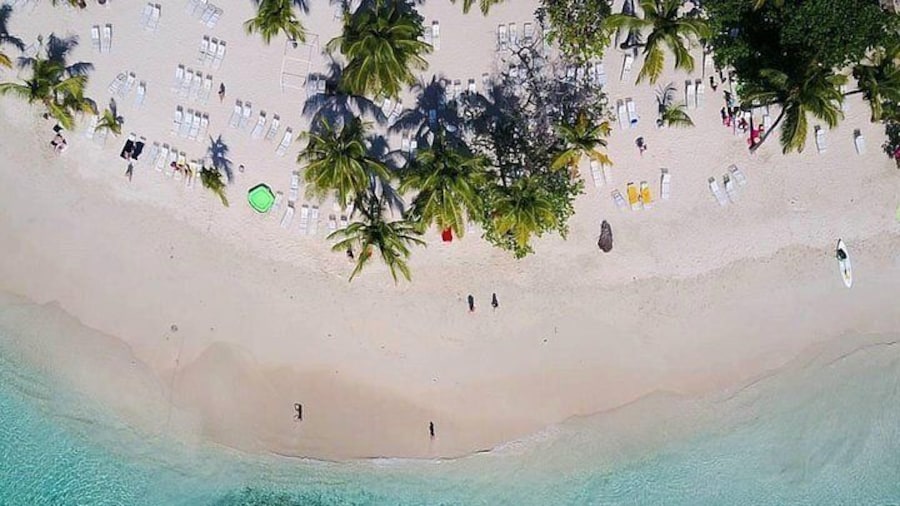 Samana day trip from Punta cana: Cayo Levantado & El limon Waterfall