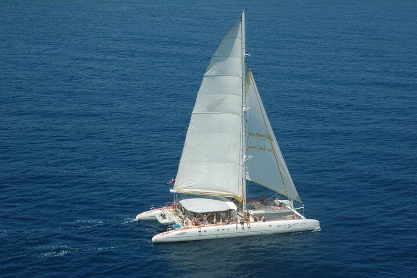 Tip Top Catamaran