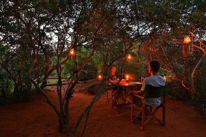 Overnight Private Yala Safari with Luxury Tented Camping.