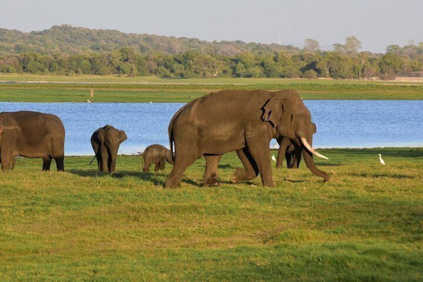 Hurulu Eco Park