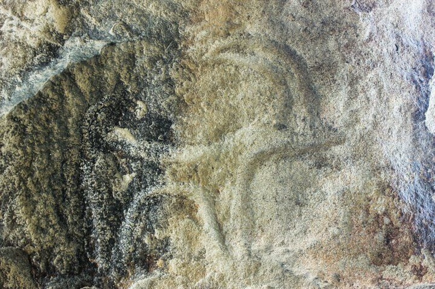 Gobustan and Mud volcanoes PRIVATE TOUR