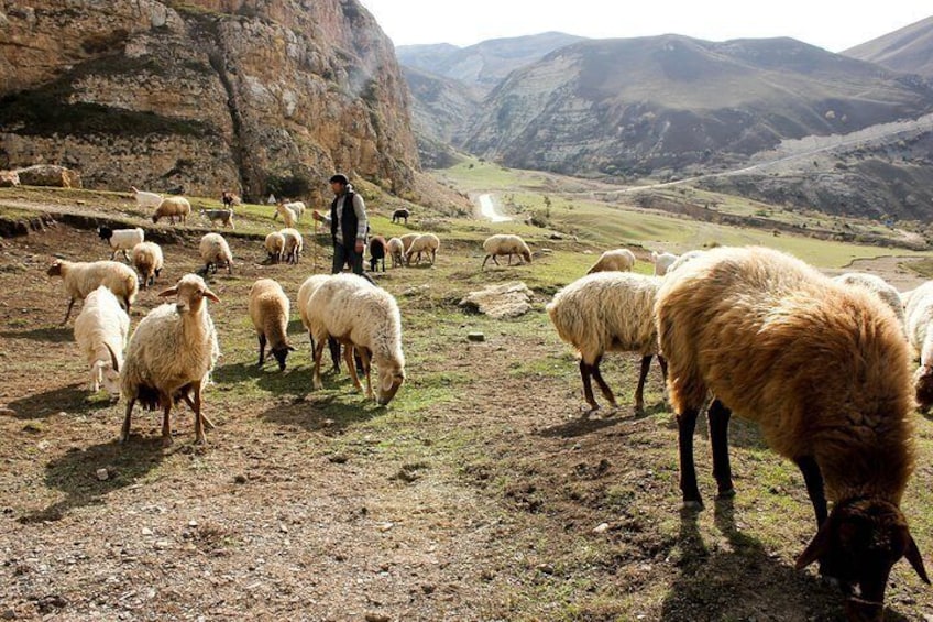 On the way to the village