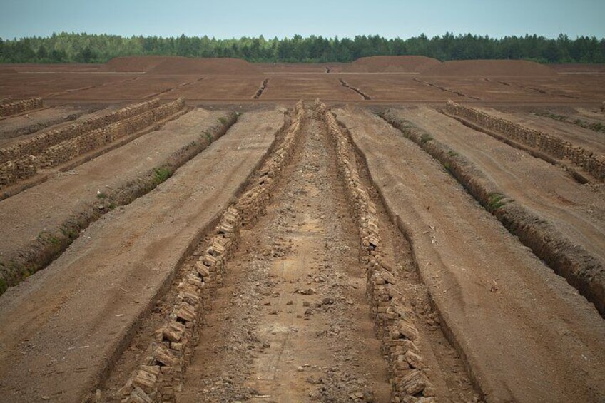 Peat fields. Drabinu peat bog in Latvia