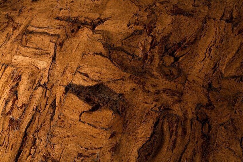 Peat art gallery / Fragment of peat artwork "Twins". Bas-relief size (3.0m x 4.0m x 0.5m)