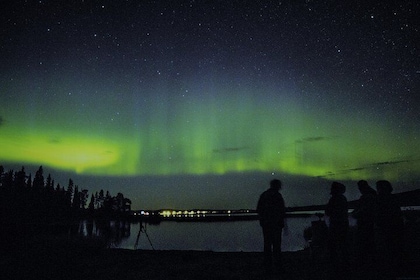 Arctic sky, Nature & Northern lights Photographing Pyhä-Luosto