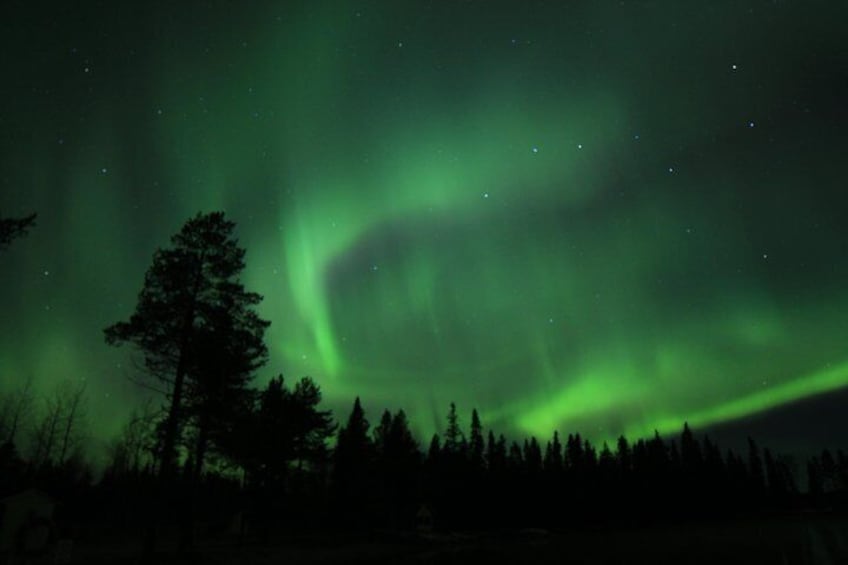 Arctic sky, Nature & Northern lights Photographing Pyhä-Luosto