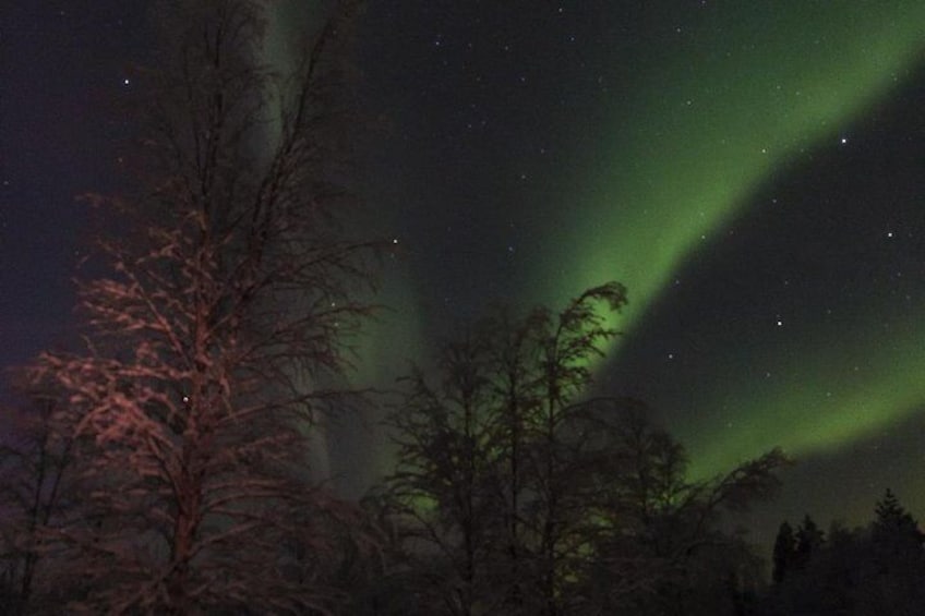 Arctic sky, Nature & Northern lights Photographing Pyhä-Luosto