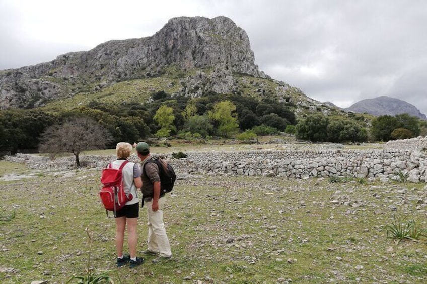 Hiking Private Tour in Pollensa