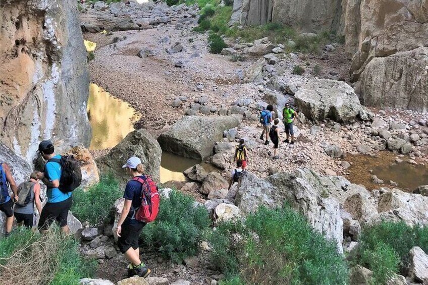 Hiking Private Tour in Pollensa