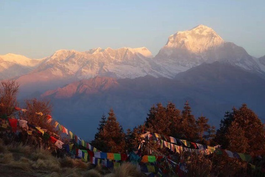 Short Ghorepani Poon Hill Trek - Including Ghandruk Village