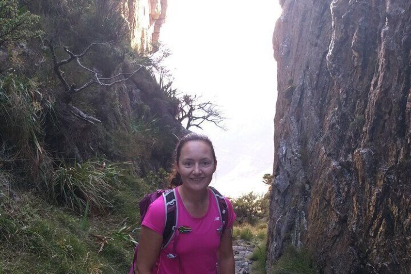 Cape Town: Platteklip Gorge Half-Day Hike on Table Mountain